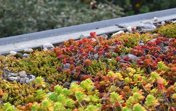 the cost of Brightwell green roof installation