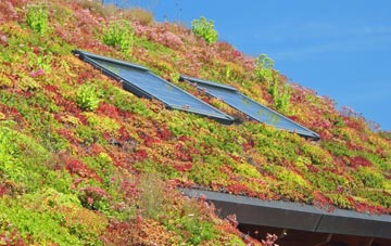 Brightwell living roof systems