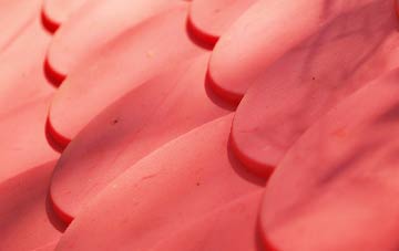 Brightwell plastic roof costs