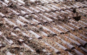 Brightwell roof cleaning companies